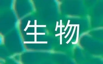 生物教师个人述职报告8篇