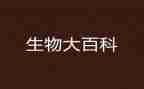 高中生物教师工作计划6篇