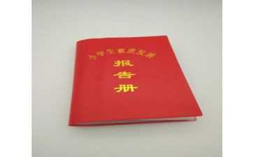 素质报告册个人总结6篇