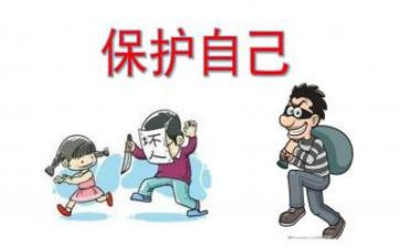 动物保护作文7篇