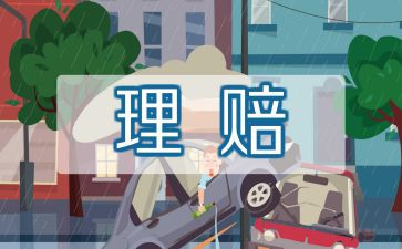 保险公司转正个人总结6篇