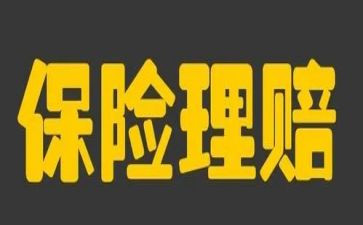 保险公司半年总结精选7篇