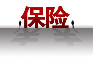 年终保险公司个人总结6篇
