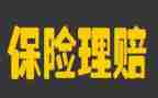 保险公司2024年工作总结通用5篇