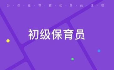 保育工作年度工作计划7篇