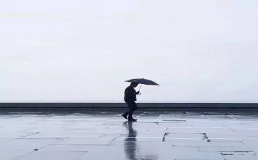 把握今天作文7篇