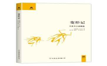 变形计,作文优秀8篇