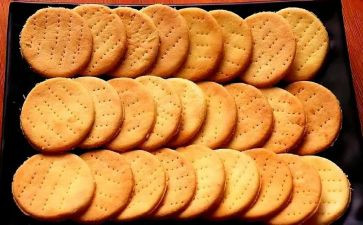 动物吃饼干教案5篇