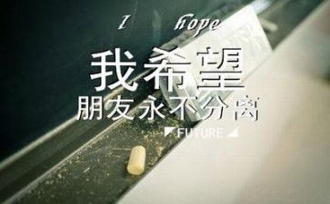毕业册上的自我鉴定优秀8篇