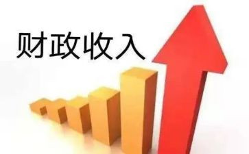 财政所个人年度总结8篇