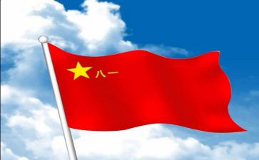 981读后感200字优秀7篇