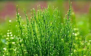 烟草员工年终总结8篇