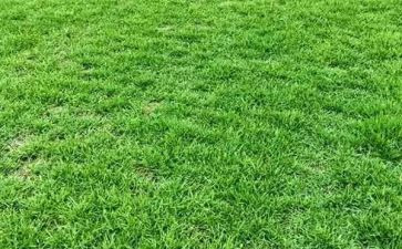 读《草房子》的读后感优秀8篇