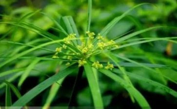 烟草公司客户经理工作总结8篇