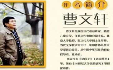 曹文轩《弓》读后感模板5篇