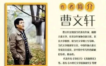 曹文轩的书的读后感7篇