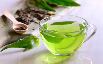 茶与我的生活心得体会8篇