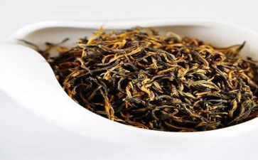 黑茶的调查报告范文模板8篇
