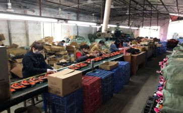 工厂员工2023个人总结优质5篇