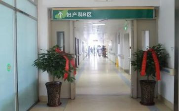 产科护士2023个人总结优质5篇