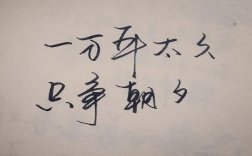 朝夕花拾的心得体会5篇