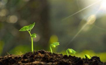 我与____共成长作文参考7篇