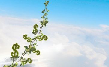 成长类的作文优质6篇