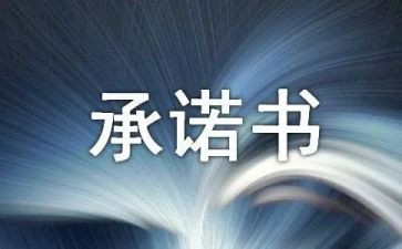 标准承诺书6篇
