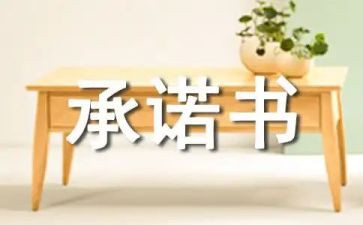 承诺函合同最新7篇