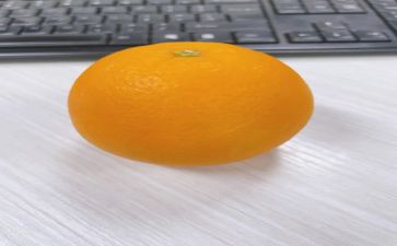 橙子优秀作文7篇