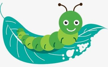 昆虫读后昆虫记读后感7篇