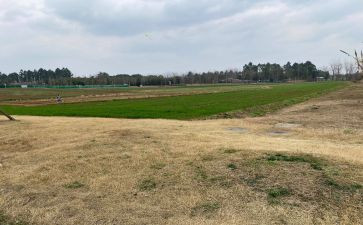 川农毕业2023自我鉴定优质7篇