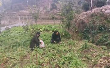 川农毕业自我鉴定5篇