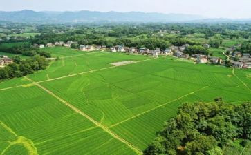 川农自我鉴定600字参考5篇