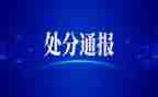 申请处分撤销申请书模板6篇