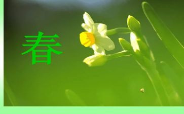 春的作文600字初中作文7篇