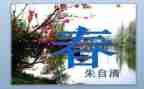 2024春节调查报告6篇
