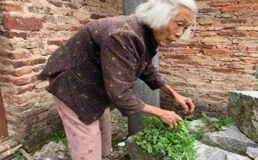 慈祥的脸作文400字8篇