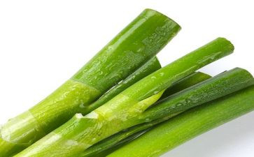 中班科学葱和蒜教案优秀6篇