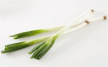 大班科学葱和蒜教案精选8篇