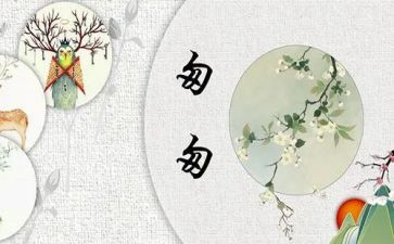 读后感匆匆600字优质6篇
