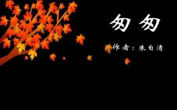 8匆匆的读后感500字最新5篇