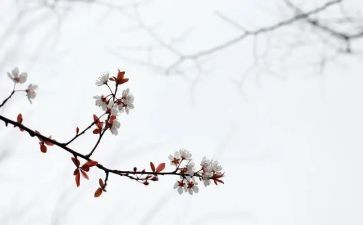 《匆匆》心得8篇