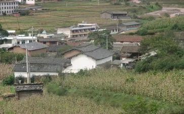 优秀村医生个人事迹7篇