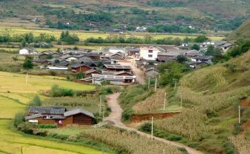 村领导的述职报告精选6篇