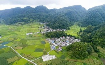 街村个人工作总结模板6篇