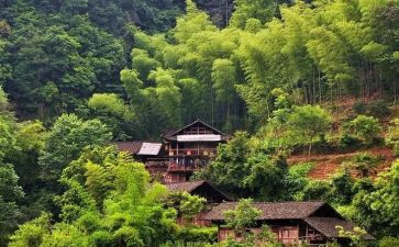 村卫生室工作计划、村卫生室年度工作计划5篇