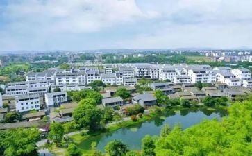 大学生村官工作总结范文7篇