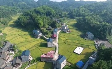 村出纳年度个人总结7篇