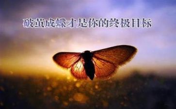 成长挫折类的作文600字7篇